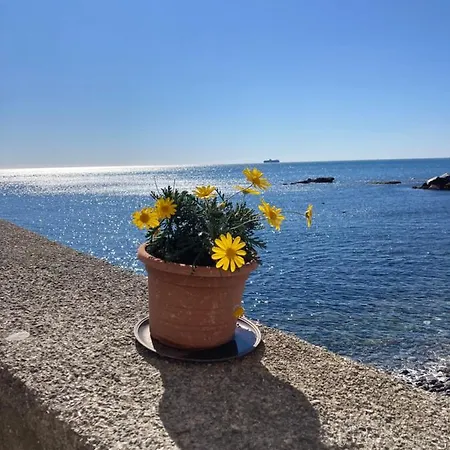 La Bruna Sul Mare 公寓 *